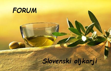 Slovenski oljkarji Seznam forumov